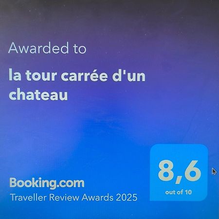 La Tour Carree D'Un Chateau Auzouer-en-Touraine Exteriör bild